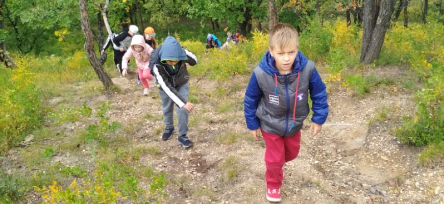 День здоровья на природе
