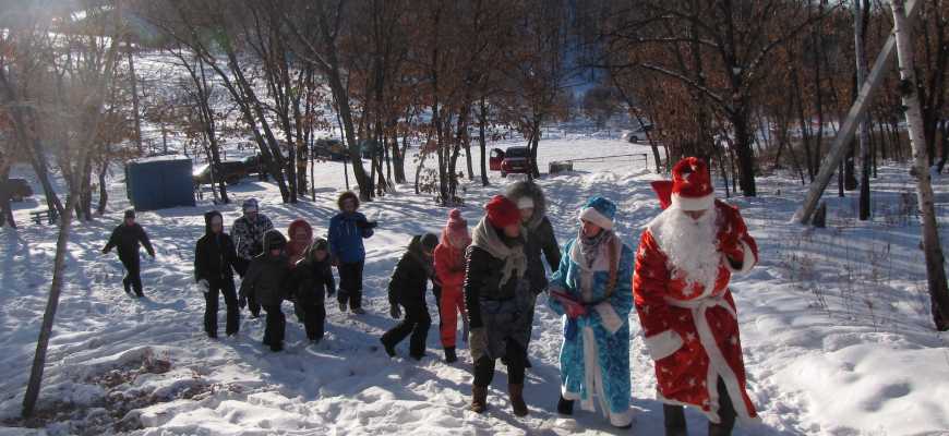 Новый год в лесу 2019! 4 часа