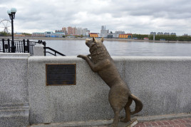 Памятник собаке по кличке Дружок