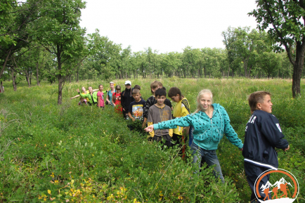 День здоровья на природе