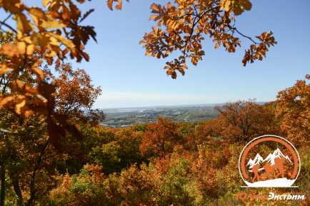 День здоровья на природе