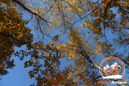 День здоровья на природе