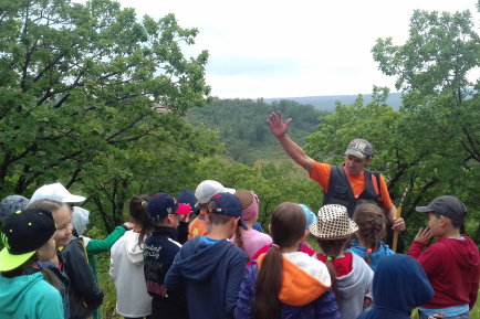 День здоровья на природе