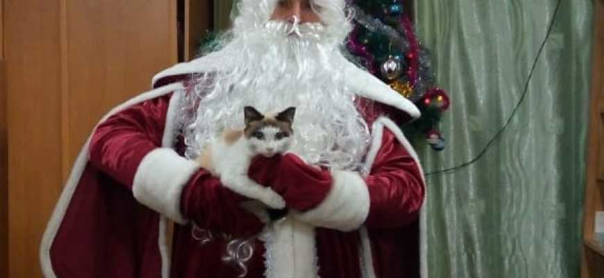 Поздравление от Деда Мороза и Снегурочки  с новым 2020 годом!