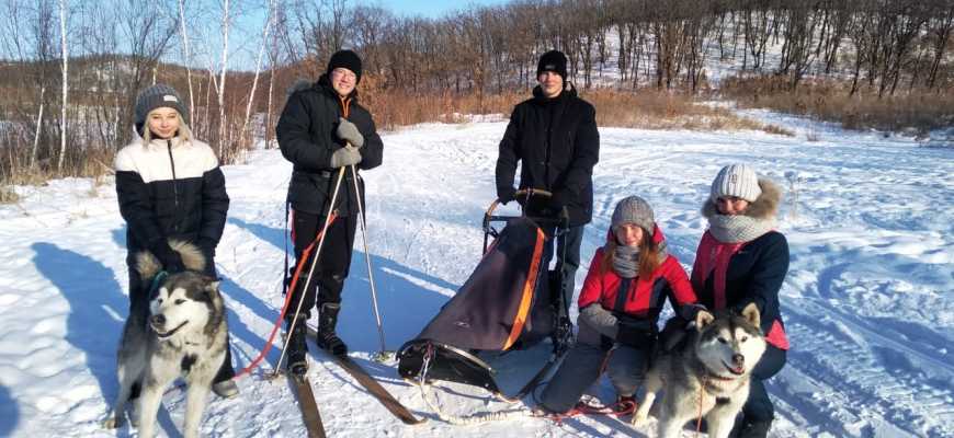 Катание на собачьей упряжке в Благовещенске