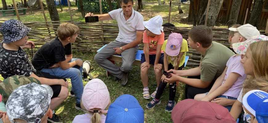 Летний детский лагерь дневного пребывания (2027г.)