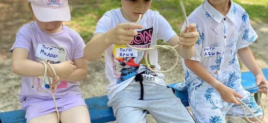 Летний детский лагерь дневного пребывания (2027г.)